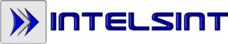 Intelsint logo